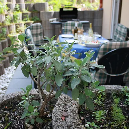 Trimmisch * Ediger-Eller