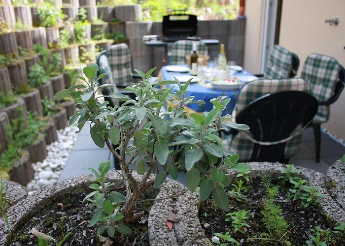 Trimmisch * Ediger-Eller